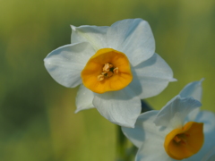 葛西臨海公園４