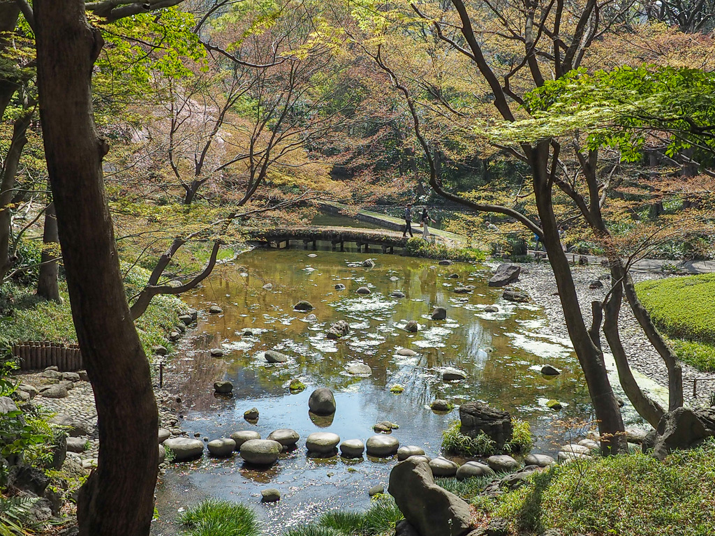 小石川後楽園２