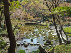 小石川後楽園２