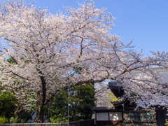 上野公園２