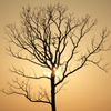 stand alone～黄砂～