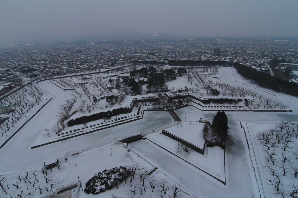 雪の五稜郭