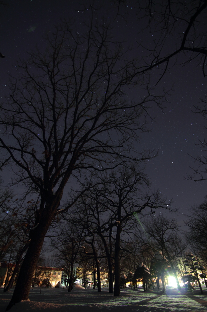 柏林公園の夜
