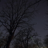 柏林公園の夜