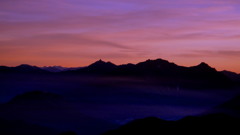 DSC02585-1