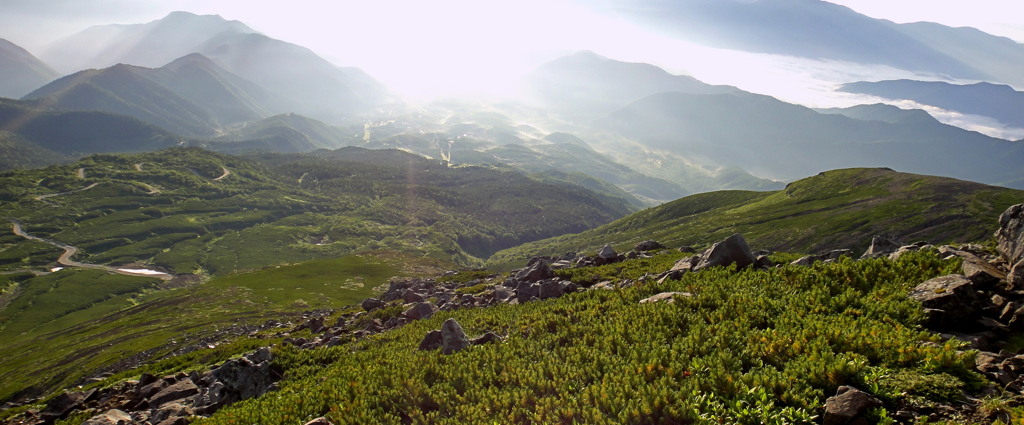 DSC02716-1-1