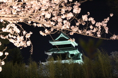 夜桜