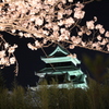 夜桜
