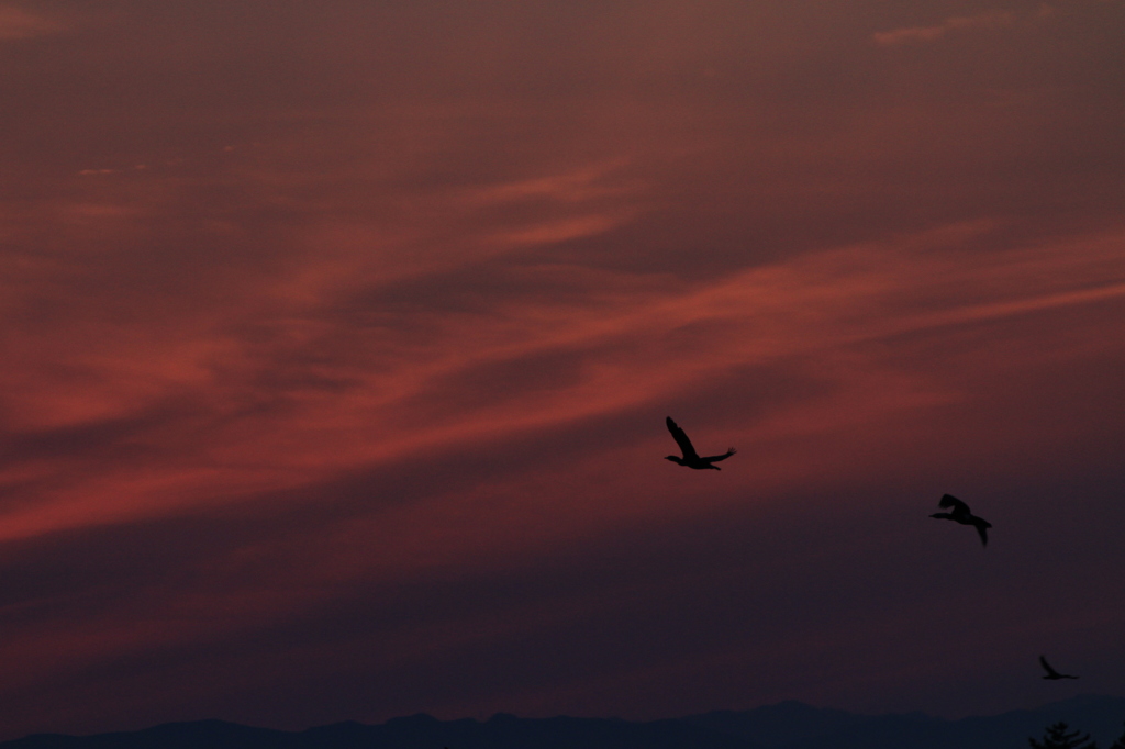 短い夕暮れ時