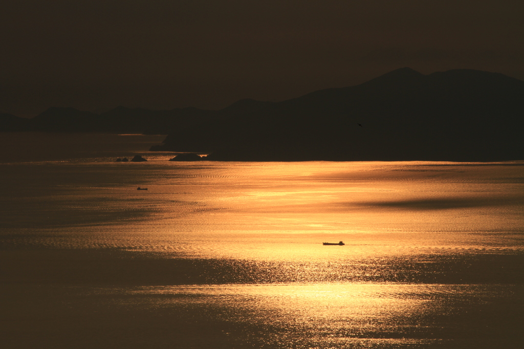 黄海