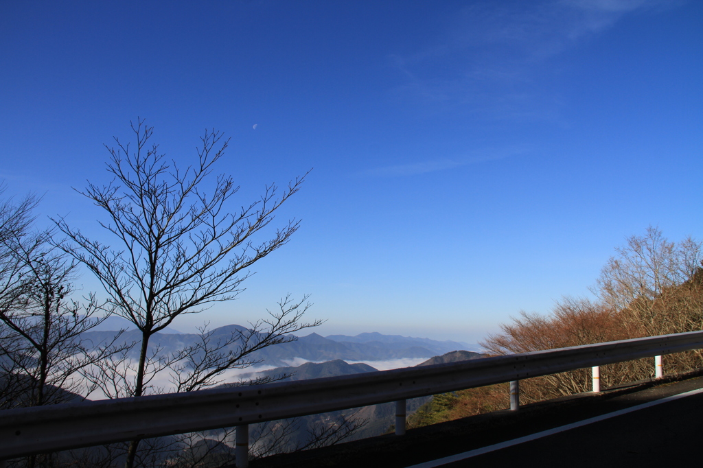 林道の朝