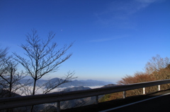 林道の朝