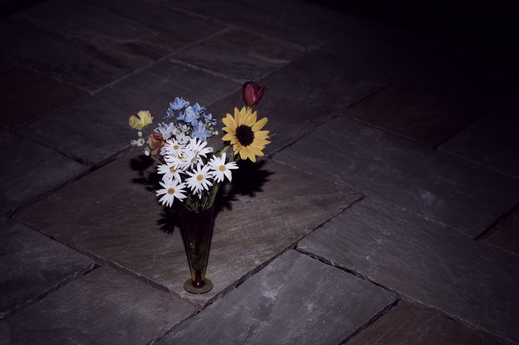 Flowers in the Darkness