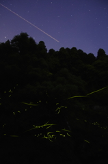 空飛ぶキラメキ