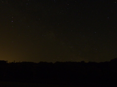 里山の夜