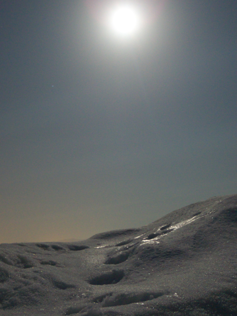 夜の太陽