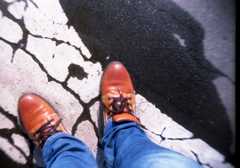 Way to the...