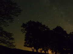 星降る夜に