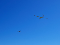 大空を舞う