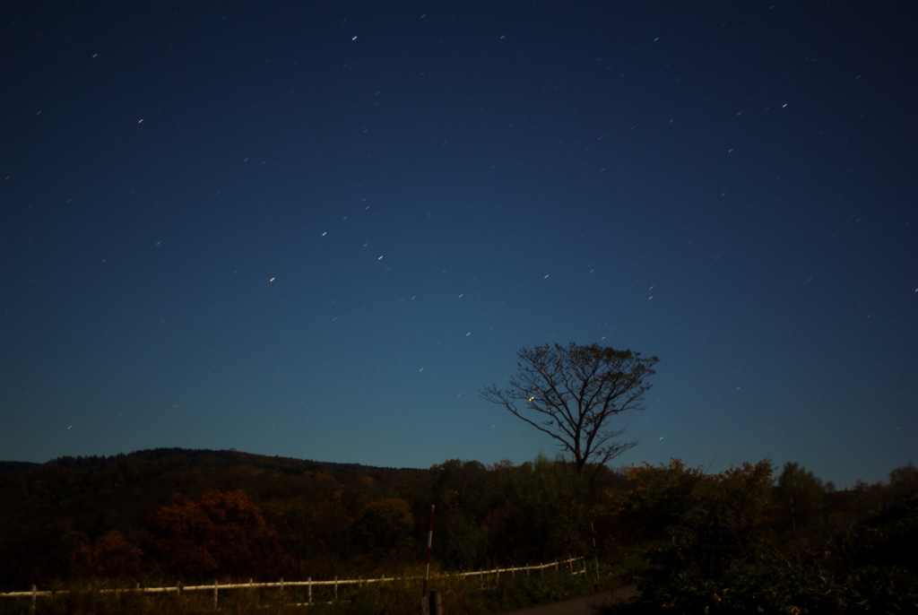 ある星の夜