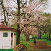 公園にて