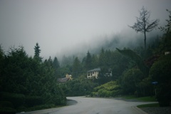 Vancouver#3