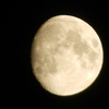 Desert on the moon