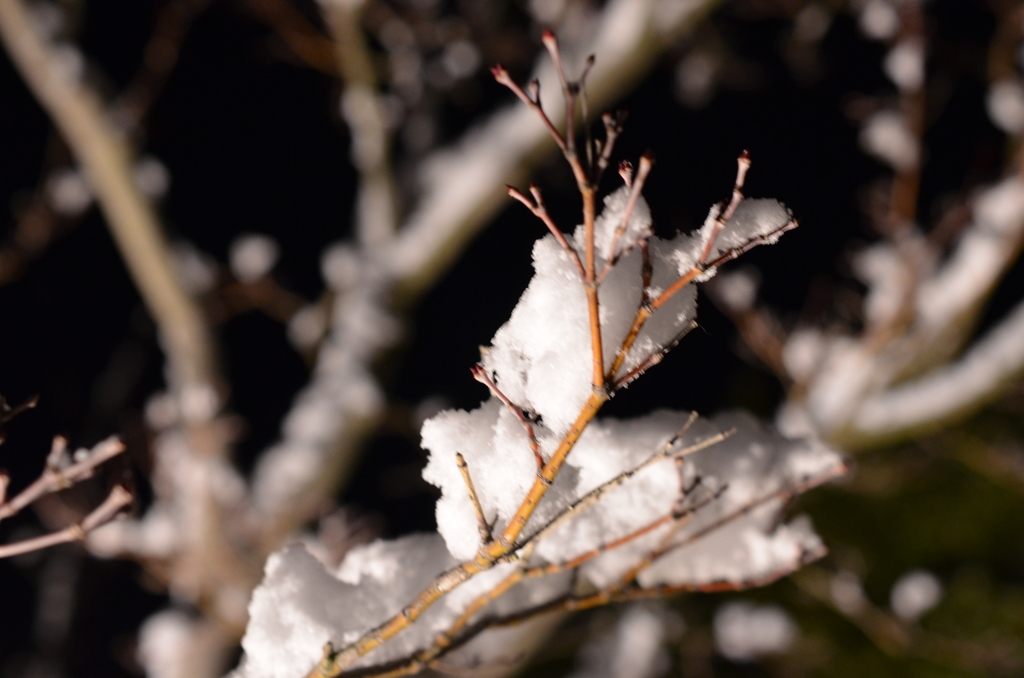 初雪！