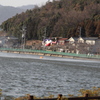 2013/03/16 各務原市内山林火災④