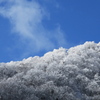 モノクロの山と青い空