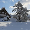 雪後晴れの白川郷