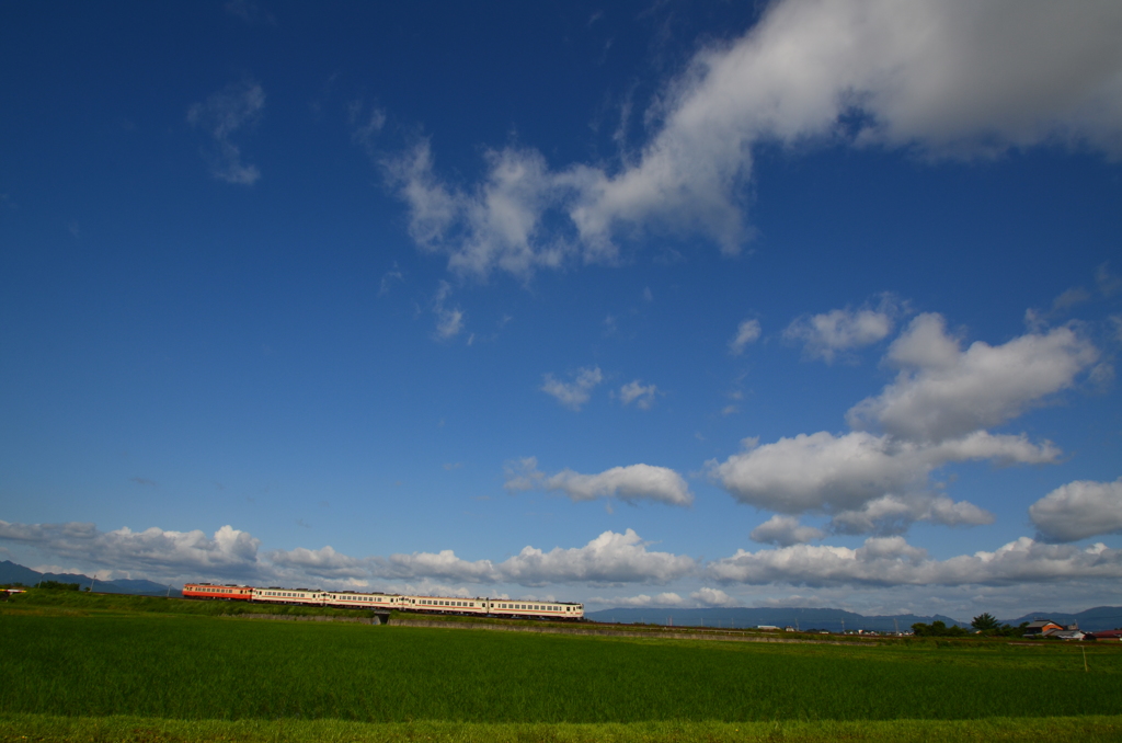 夏の朝の定置で