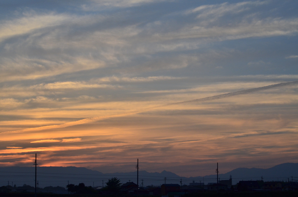 DSC_0906