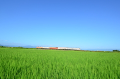 夏休みの朝