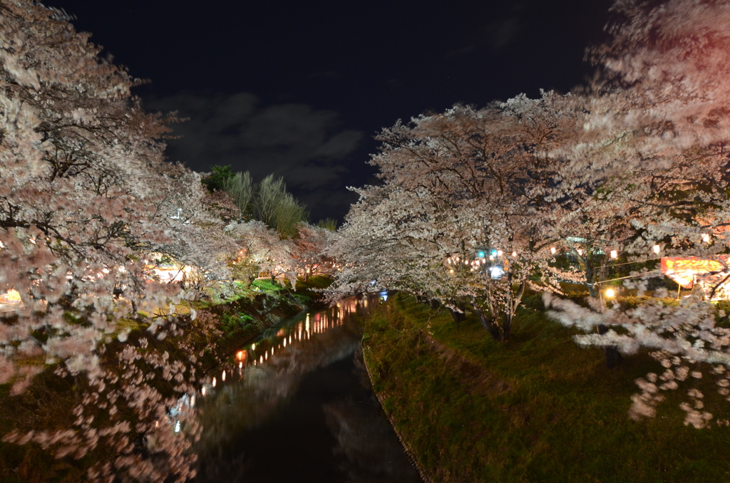 夜桜　満開