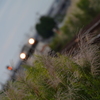 もうすぐ引退