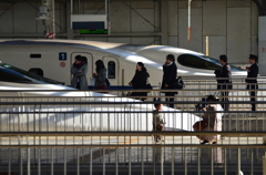 お母さん　撮って!!