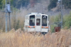 DSC_0416