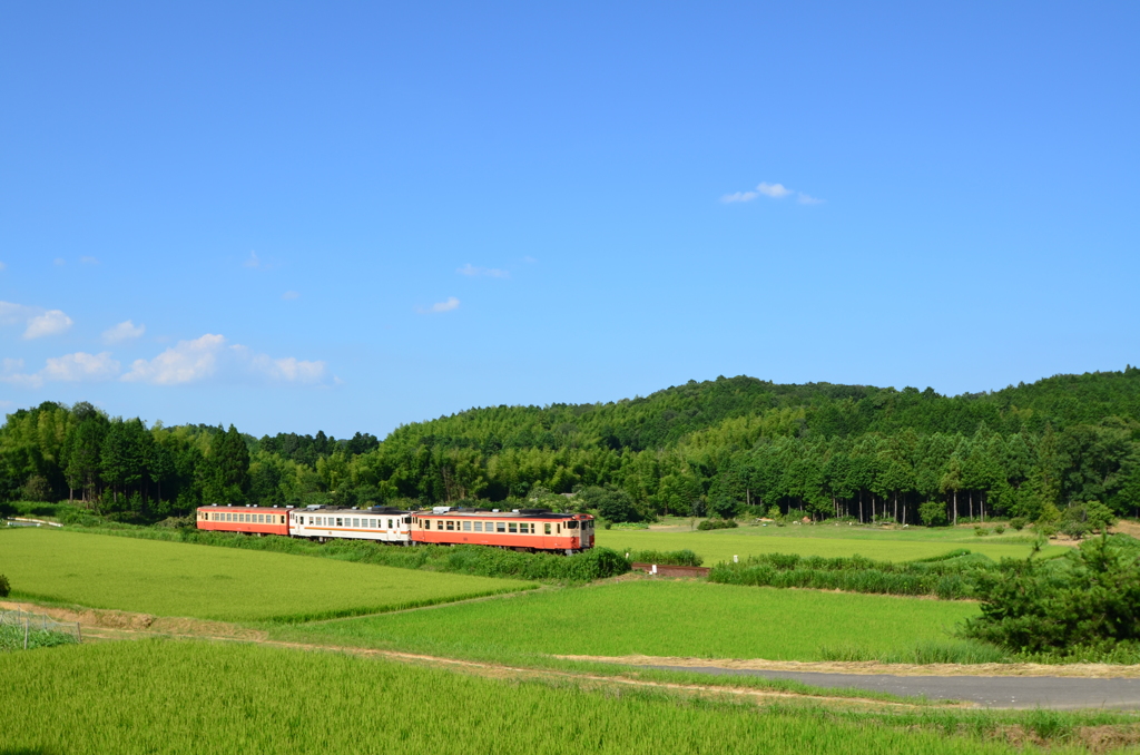 田舎の列車