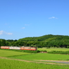 田舎の列車