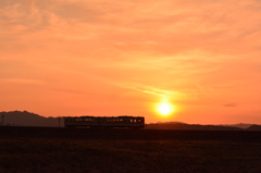 夕日をゆく