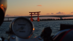 明日から仕事