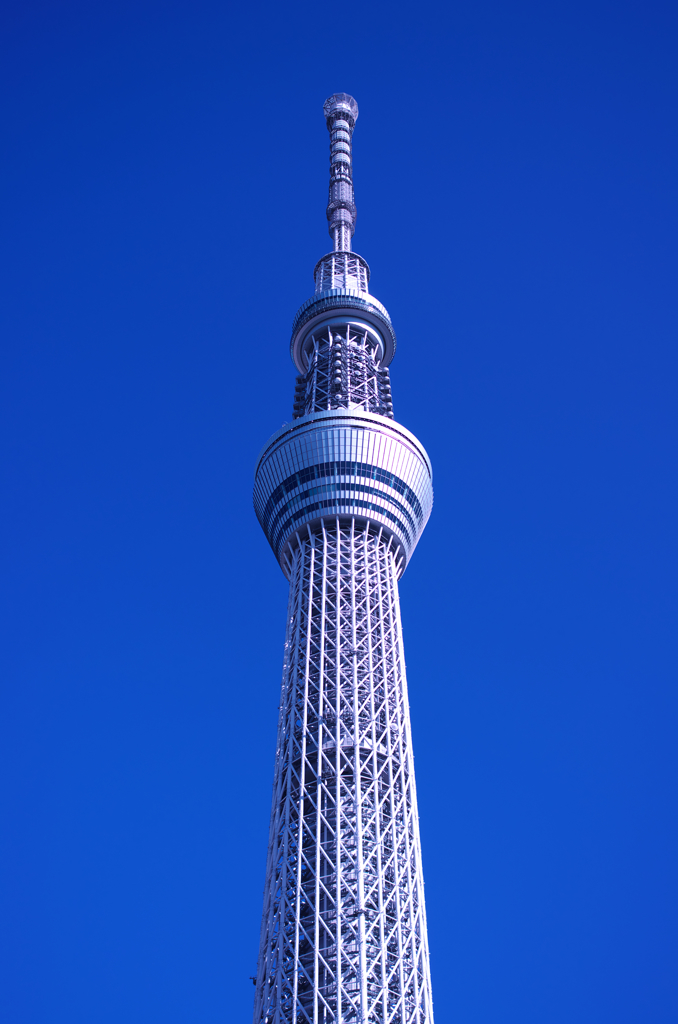 東京スカイツリー