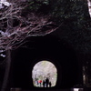 トンネルの先に・・・