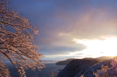 雪枝