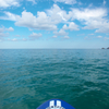 海をゆく
