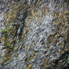 ROCK