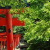 青葉と鳥居