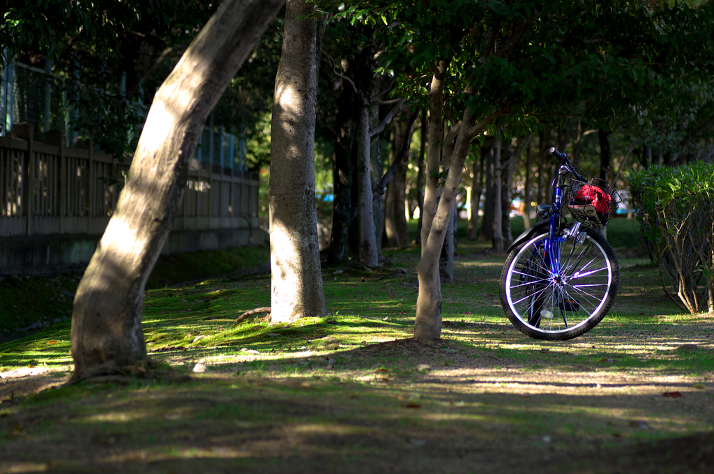 僕の、青い自転車。