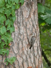 2012.6.5ｷﾂﾂｷ